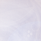 Pas de nouveaux messages Pas de nouveaux messages