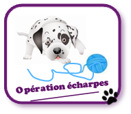 Opération écharpe