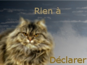 Pas de nouveaux messages Pas de nouveaux messages